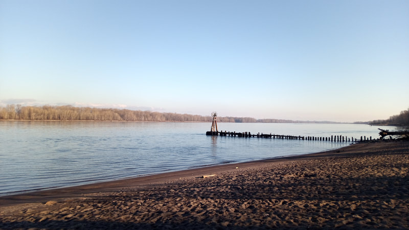 The view looking southeast up the Columbia River, from Collins Beach, Sauvie Island, Oregon, February 2022