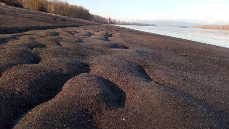 The wave patterns forged in the sands of Sauvie Island by the Columbia River and the river in the background, February 2022