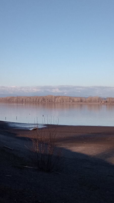 A afternoon lit view across the beach of Sauvie Island and the Columbia river into Washington State, February 2022