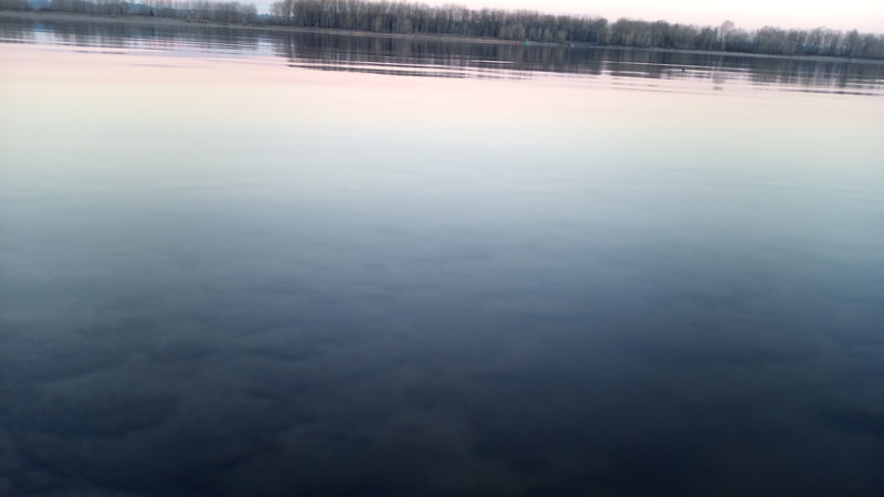 Looking at the crystal clear, glassy water of the Columbia River at sunset, Sauvie Island, February 2022